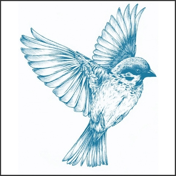 Jeans BOOHOO Skinny Jeans FINAL ⏬ NWT SZ 6 JR - Picture 7 of 7